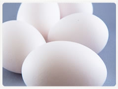 ヒートストレスが卵殻に及ぼす影響